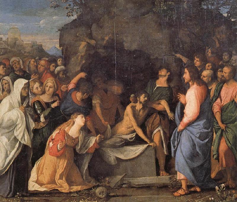 Palma Vecchio The Raising of Lazarus Spain oil painting art